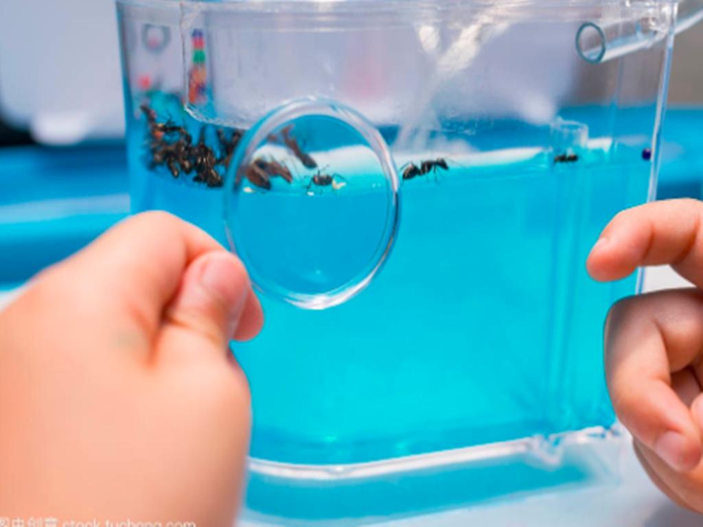 你有勇气让我“无用”,我就有可能走向辉煌