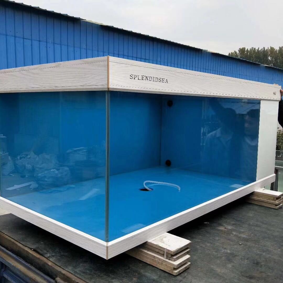 鱼缸养锦鲤鱼技术大全,缸养小锦鲤鱼的基本方法