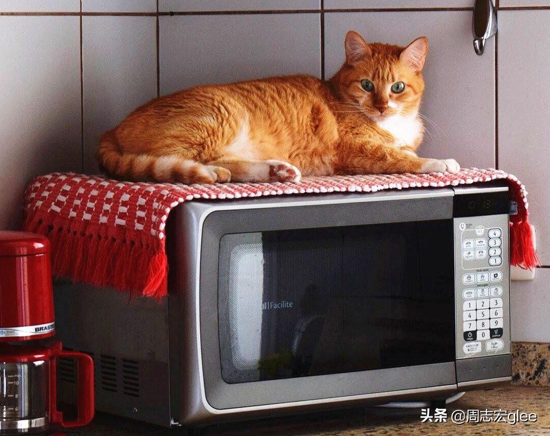 辐射与放射有什么区别,放射性钨棒辐射有多可怕