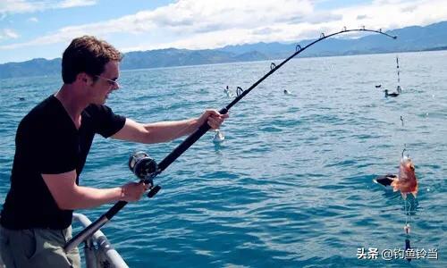 筏竿矶竿路亚如何鉴别?功能特性大有不同,适时选择让渔获最大化