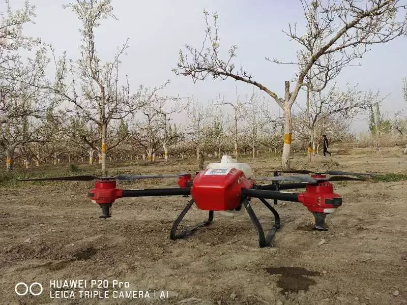 你买的可能是“山寨梨”,无人机授粉解决库尔勒梨农难题