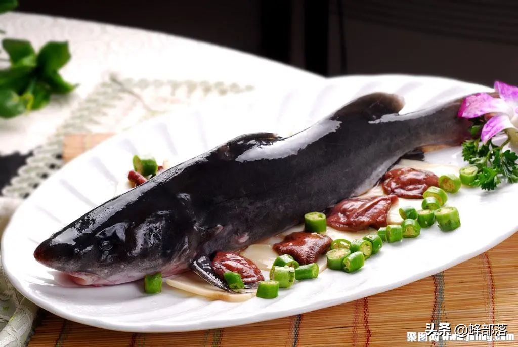 养殖什么小型鱼能赚钱,2021年鱼塘养殖什么鱼最赚钱呢