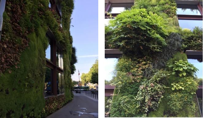 欧游散记原文,欧游散记无注释版