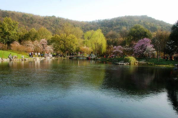 三月的杭州西湖,期待三月的杭州