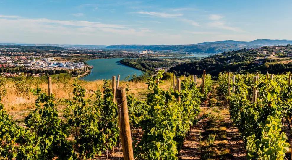 法国名庄酒分级,法国葡萄酒名庄分级