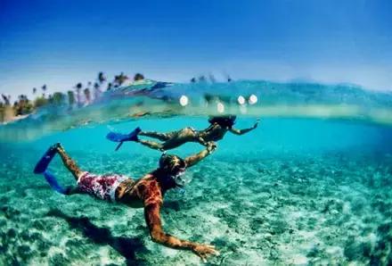 巴厘岛鸟园旅游攻略,大连至巴厘岛旅游自由行攻略