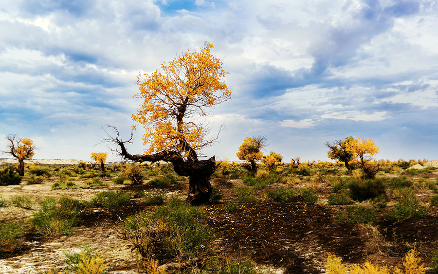 天无边，地无圆，来*疆新**旅游，这些事必须知道