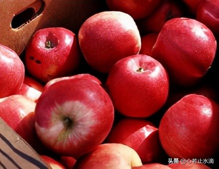 立秋是秋天的第1个节气,立秋秋季的第一个节气