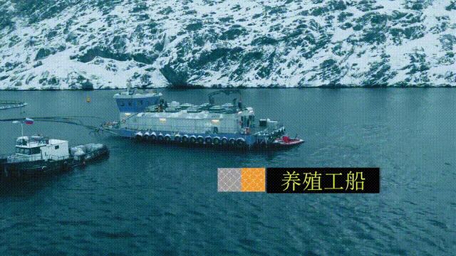 网箱养殖为什么会导致水质恶化,网箱养殖对生态环境有哪些影响