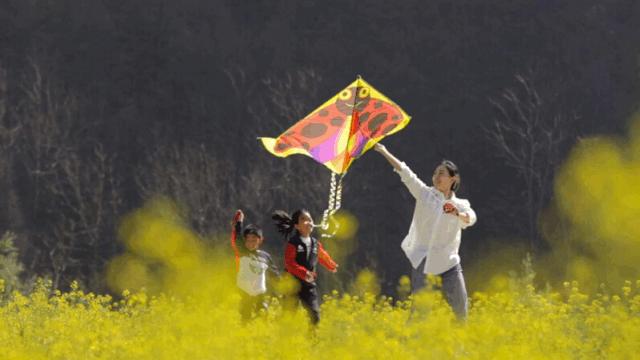 汉中周边踏青的好地方有哪些,汉中乡村游秘境