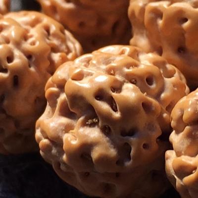 文玩小金刚菩提怎么选购,骨灰级金刚如何挑选