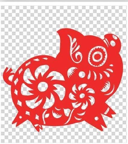 从丁亥到己亥—武昌水果湖中学六六届高三（1）班同学聚会本命年