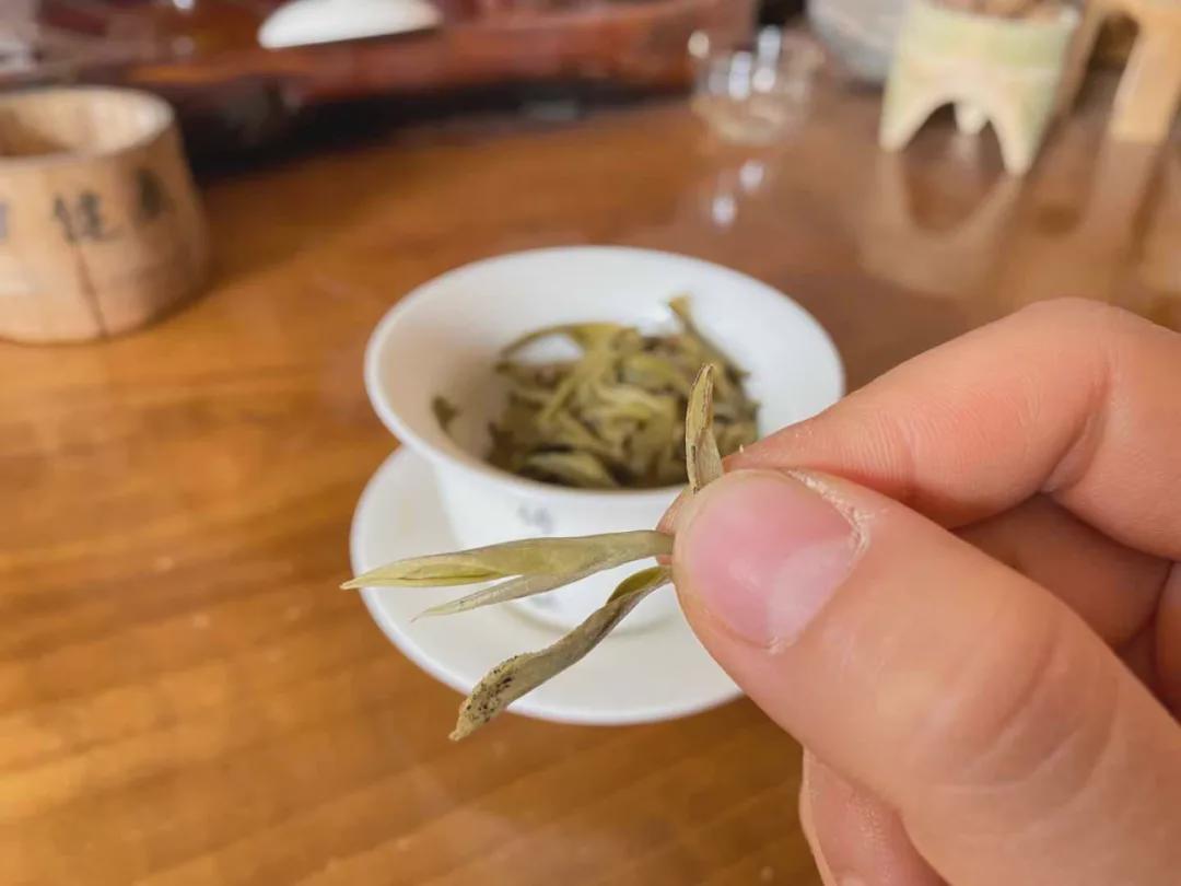 倚邦猫耳朵古树茶的口感特点,倚邦石韵茶坊猫耳朵茶