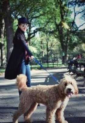 一年前被狗咬没打狂犬疫苗怎么办,十年前打过狂犬疫苗再次被狗咬