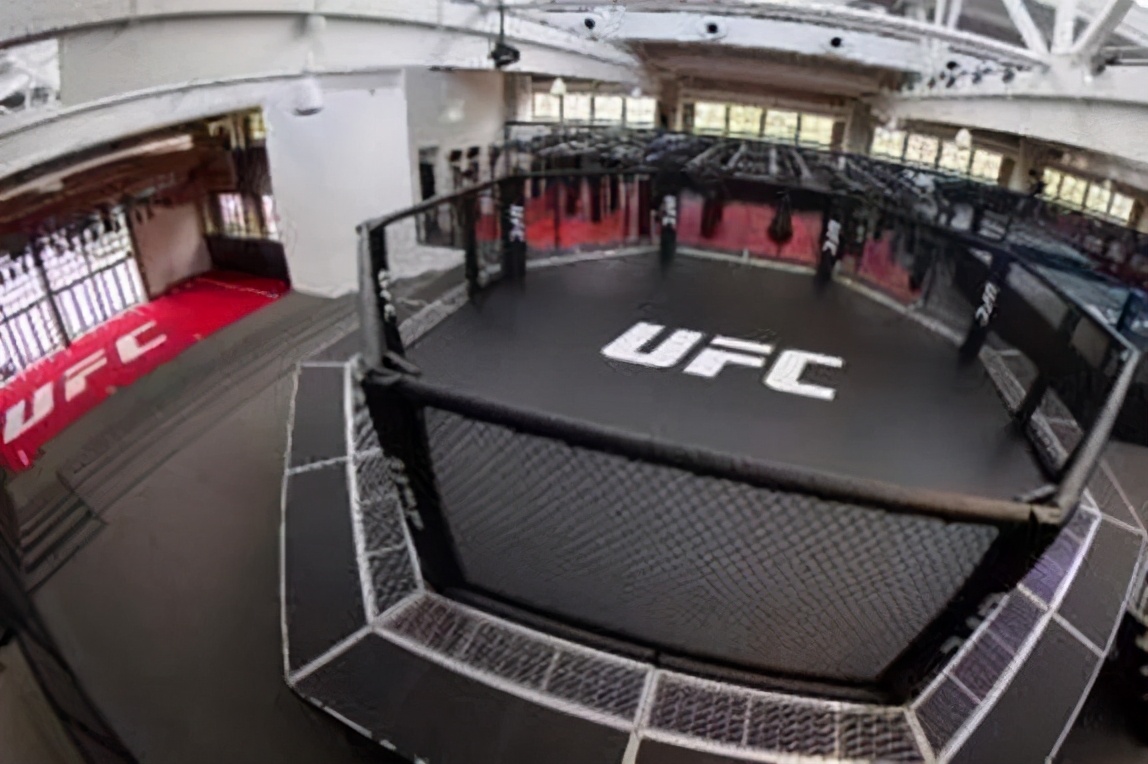 想抓住年轻群体只能选电竞？格斗或许更好,下篇