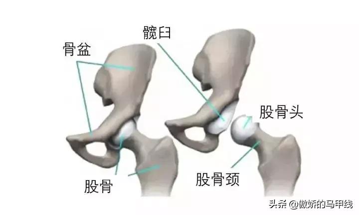 深蹲屁股眨眼如何改善,深蹲屁股眨眼正确吗