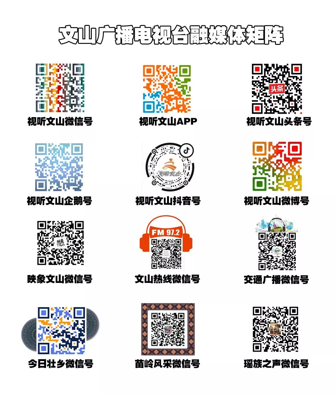 「回音壁」摩托车被盗后产生的违章该由谁“买单”？