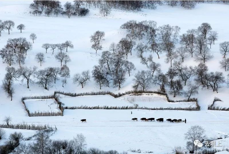 坝上摄影攻略,坝上夏季摄影