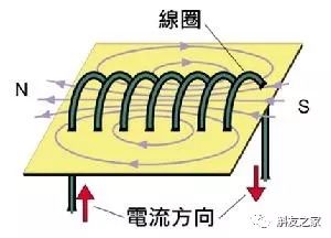 石斛兰最受不了的那种水！涨知识了