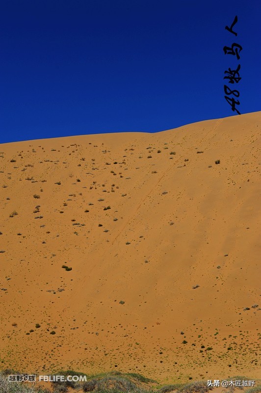当木工学徒,当木匠的故事