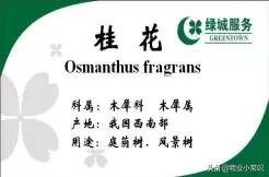 物业亲情化服务方案,物业人文关怀服务