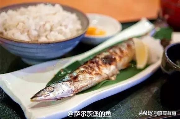 32种经典寿司做法视频,寿司常用的鱼