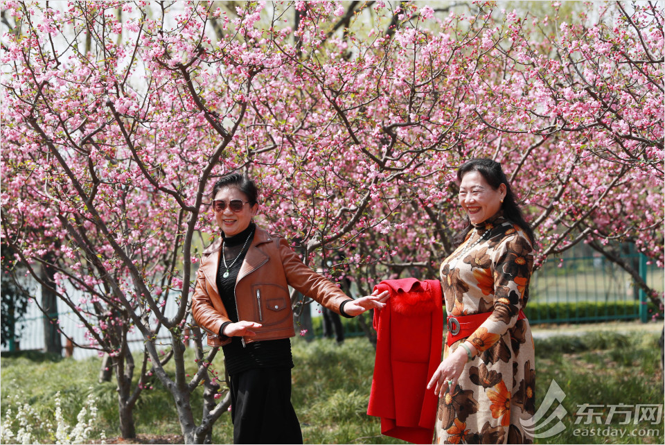 冬日暖阳黄兴公园的美景,公园黄兴公园