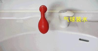 夏天猫咪怎么度过的,夏天猫咪怎么避暑旅游