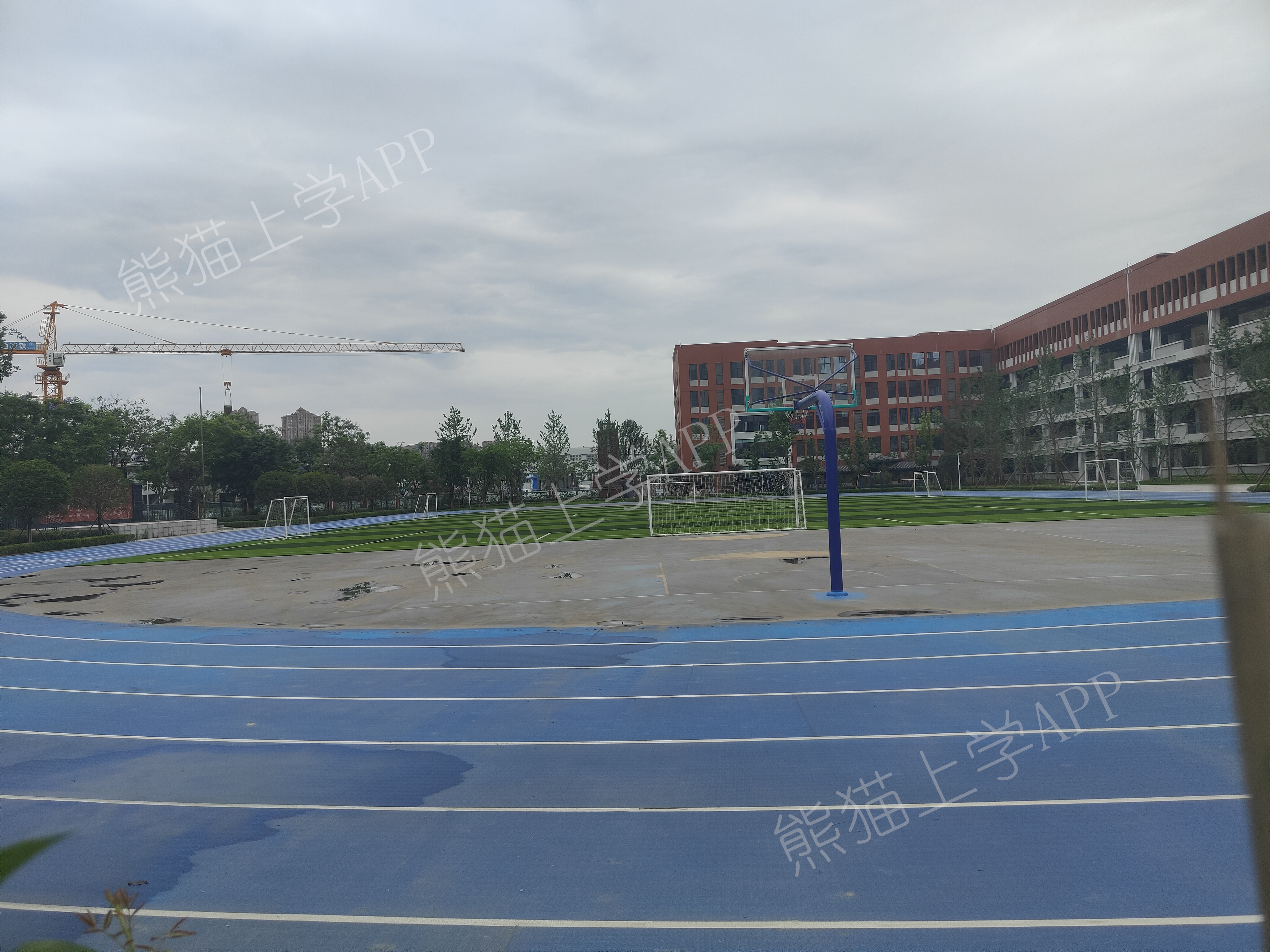 成华小学蜀都校区排名,成华小学蜀都分校是私立吗