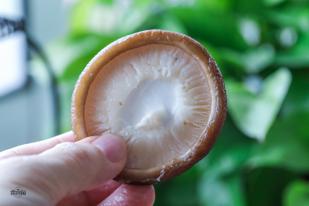 洗白色香菇的正确方法,清水洗香菇