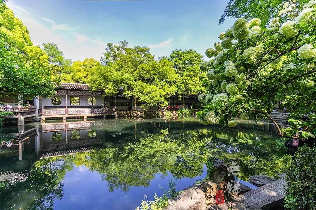 惠山古镇天下第二泉竹筒茶,惠山古镇天下第二泉