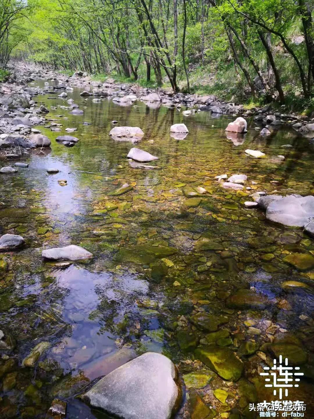 一个极美的露营地,槐之乡露营地