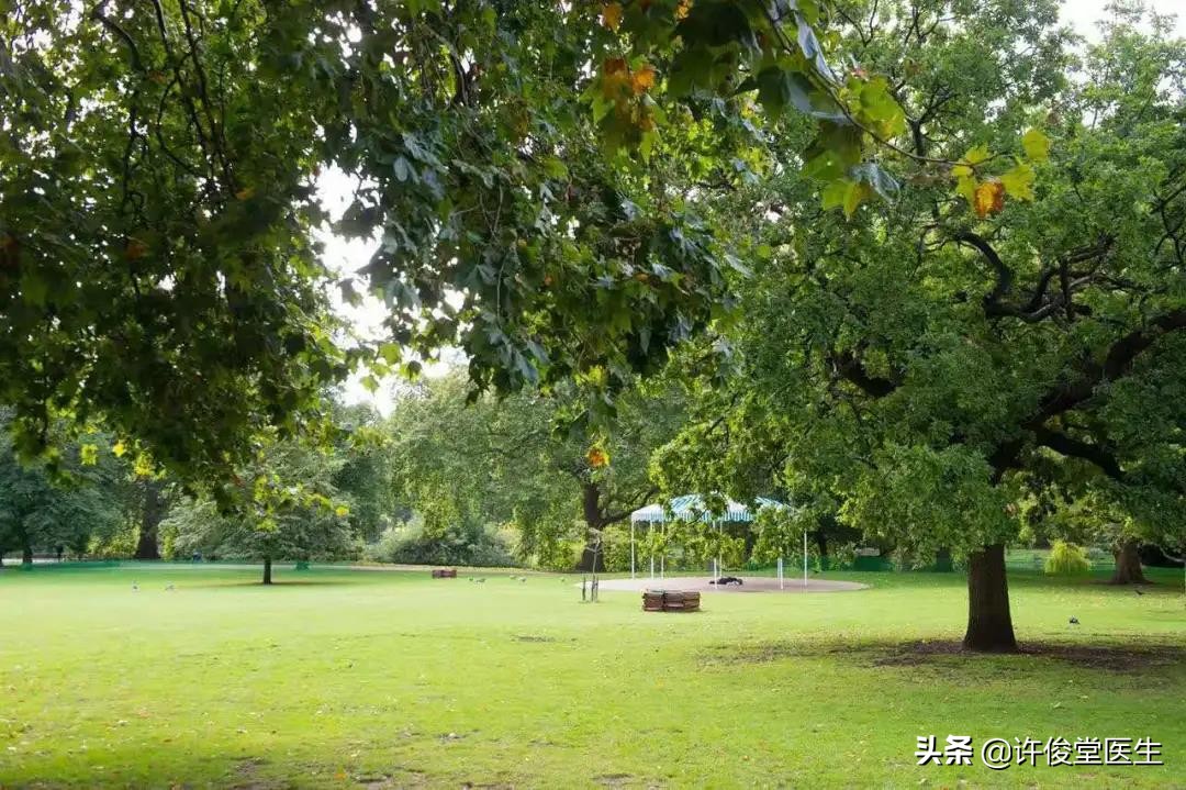 定格美好回忆的相机，如何选择？