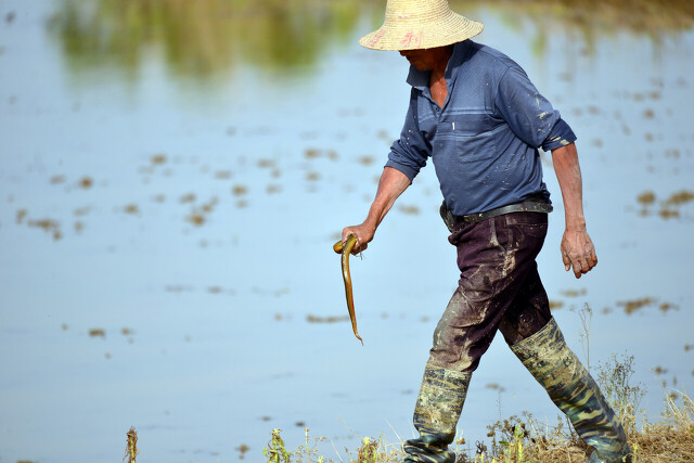 儿时记忆终生难忘,值得回味儿时的记忆