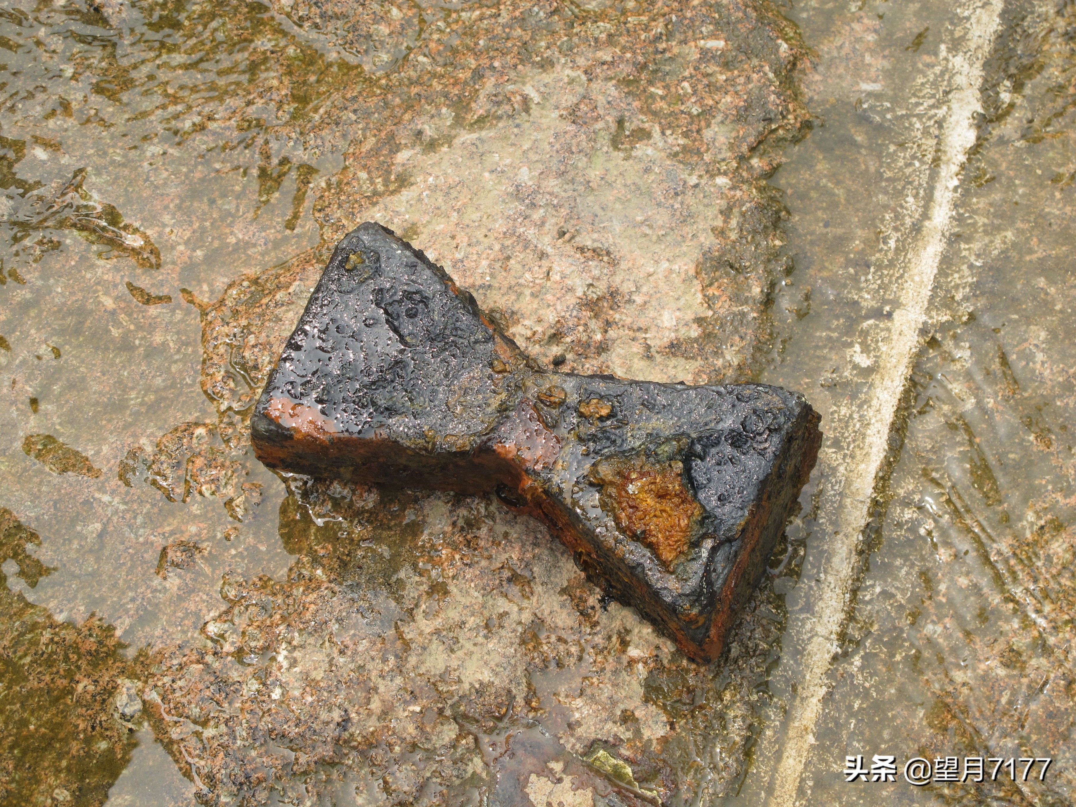 航天英雄的家乡绥中,葫芦岛杨利伟广场地址