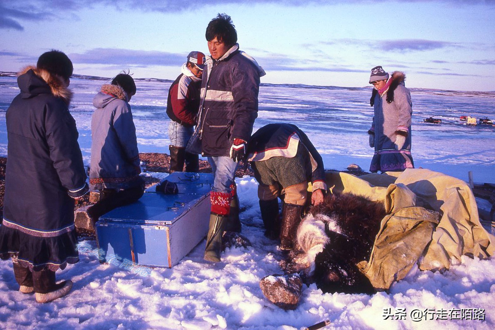 三百年前,加拿大用烟酒毁掉原住民,如今再加上*麻大**