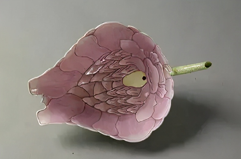 辣眼睛设计,辣眼睛3d建模