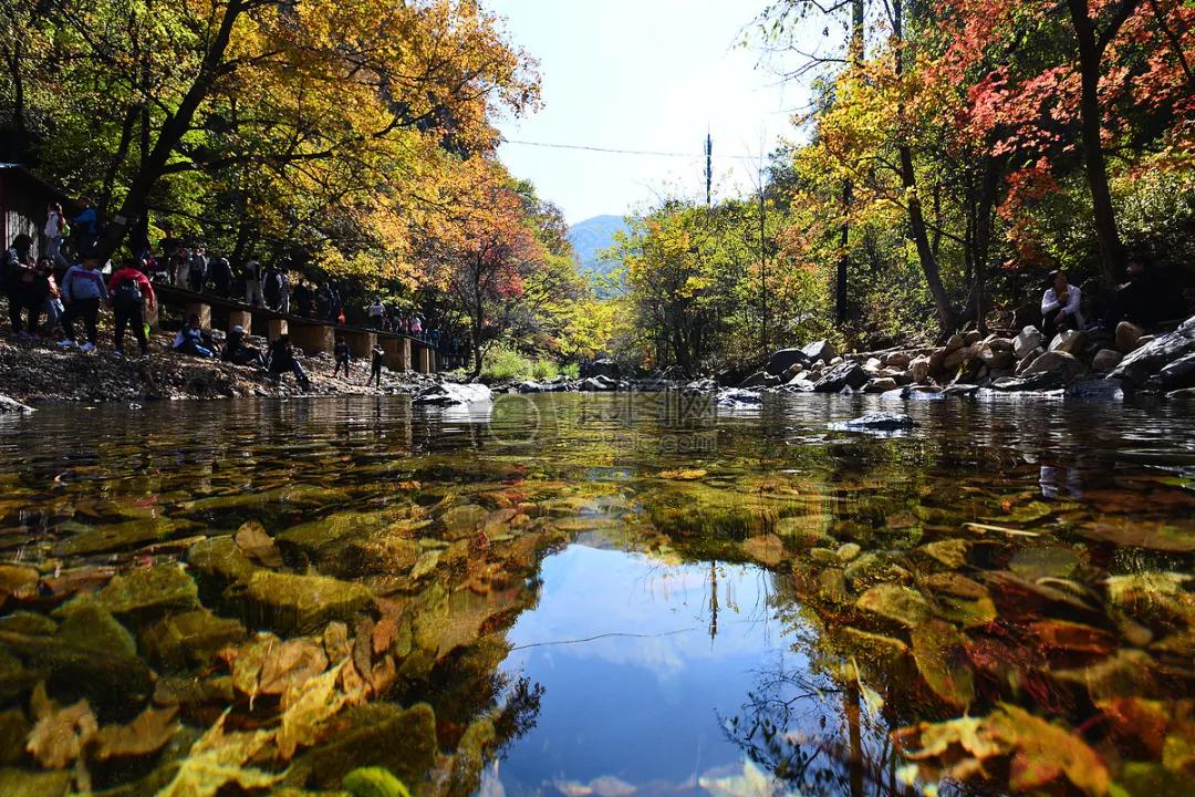 带有收藏的成语,成语归纳给孩子收藏吧