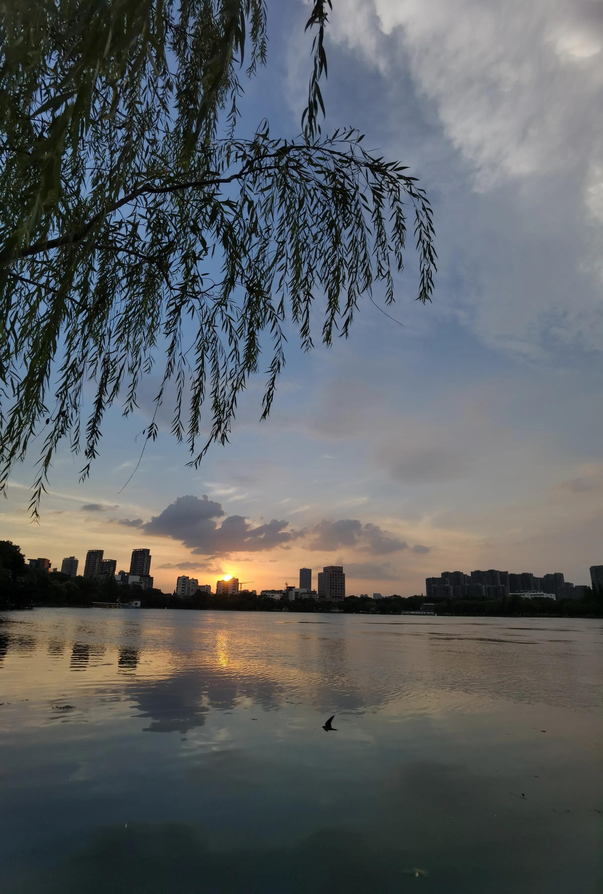 手拍世界作品集402期,2022年世界手机摄影大赛征稿