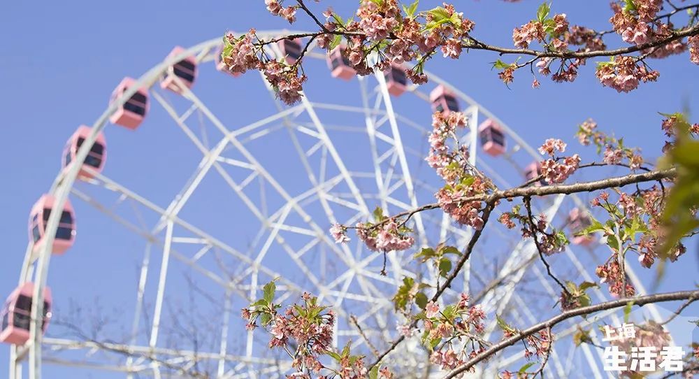 假期上海好去处,上海放假旅游好去处