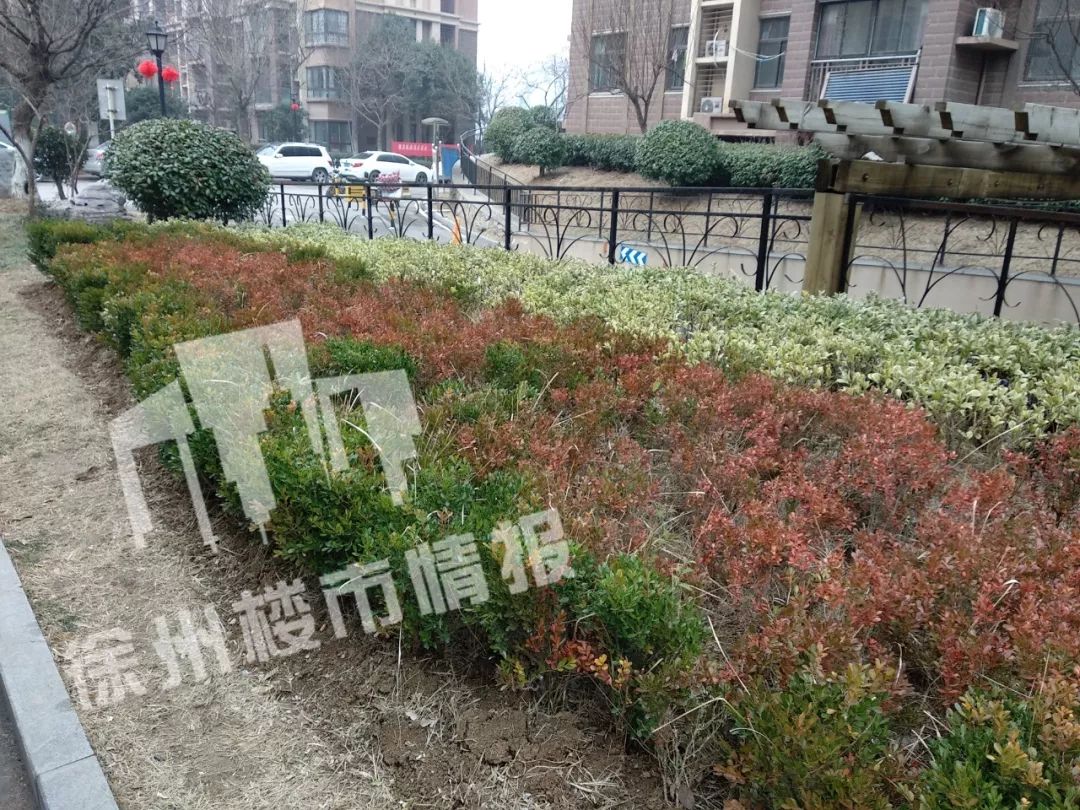 有钱人住的小区是什么样子的,徐州烂尾住宅楼盘最新