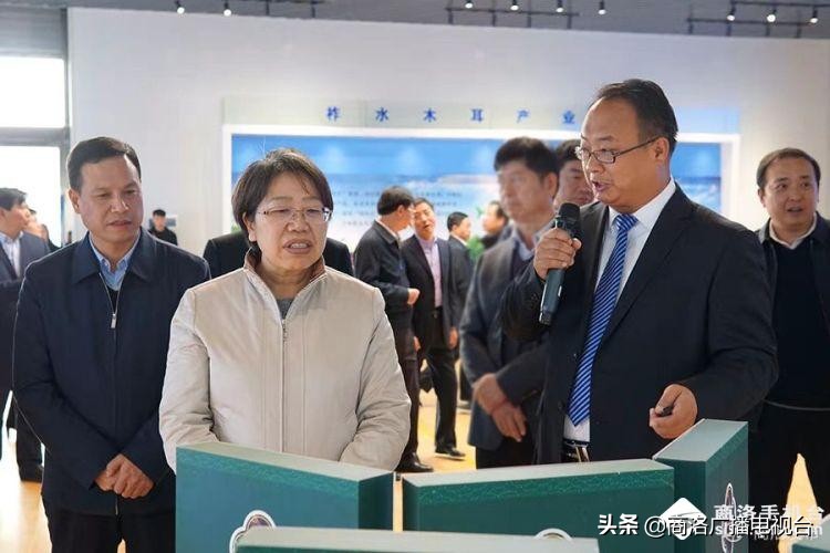 2018商洛市重大项目观摩排名出炉,2018年商洛市重大项目