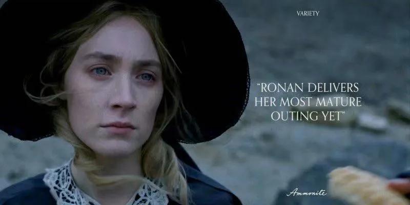 《菊石》的后劲：沉浸体验式的阅片过程，前所未有