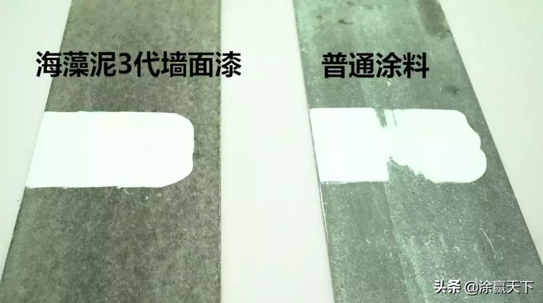 嘉宝莉海藻泥4代和益呼吸,嘉宝莉海藻泥3代效果图