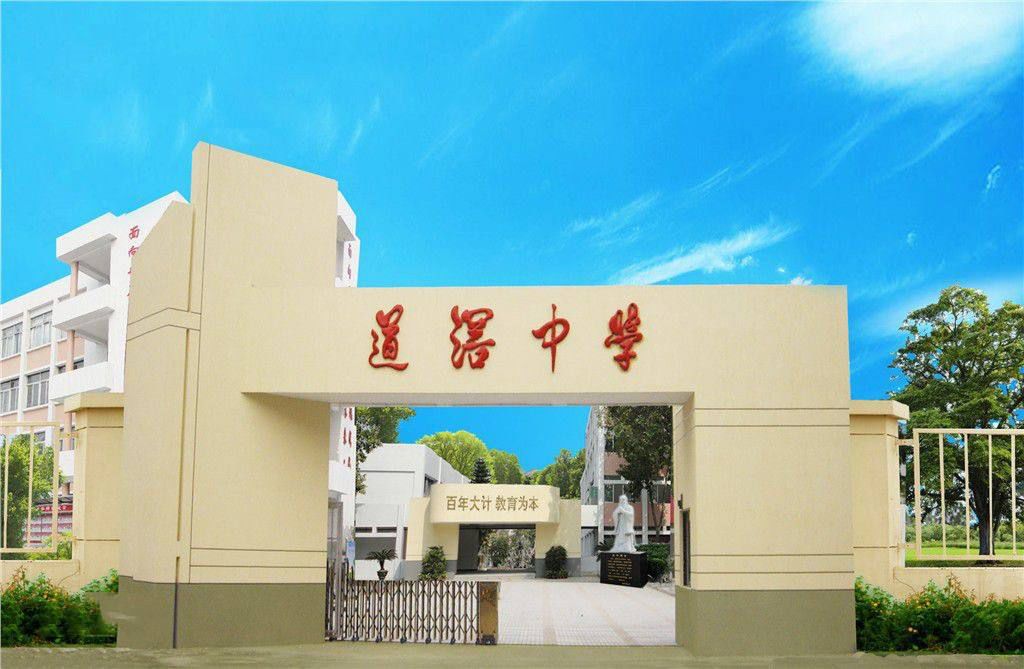 东莞公办好学校,东莞最好的复学学校