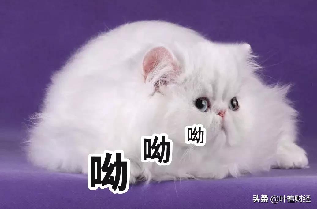 京东方为什么一直亏损,京东方为什么业绩下滑