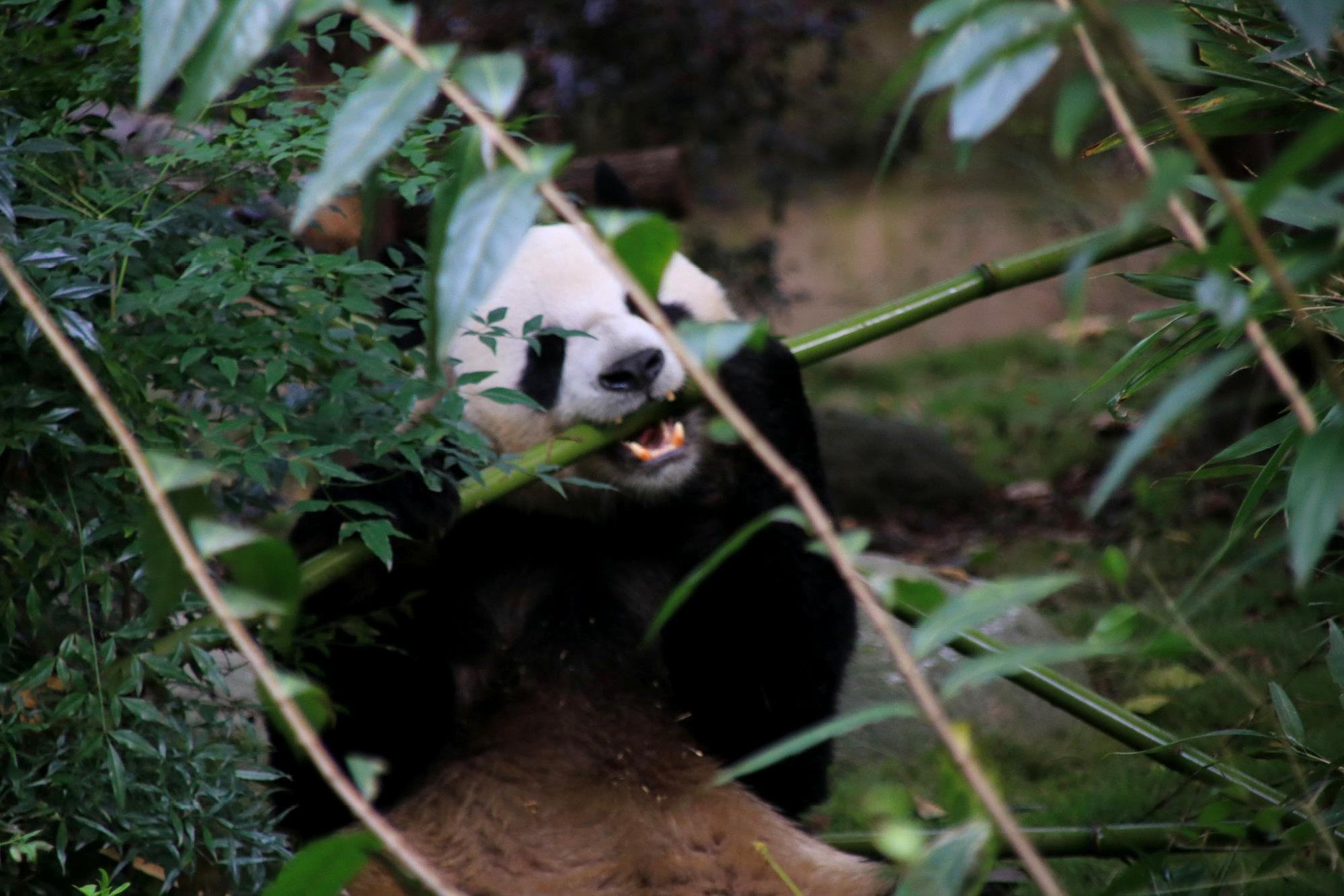 打卡网红地四川旅游胜地,四川天府新区网红打卡景点