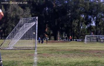 物理趣图让你秒懂高中物理原理,物理趣味球