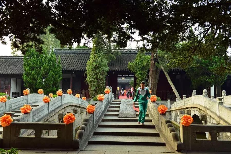 上海超全攻略,上海全天免费最值得去的旅游景点