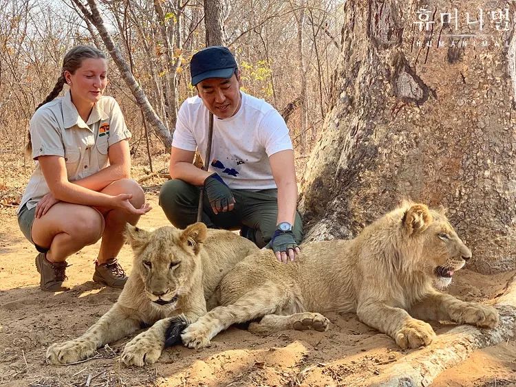 韩国寄生虫深度解析,寄生虫韩国结局